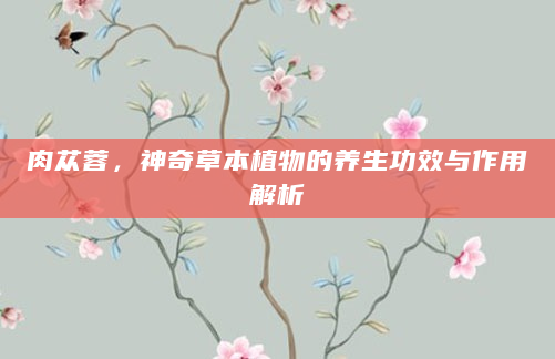 肉苁蓉，神奇草本植物的养生功效与作用解析